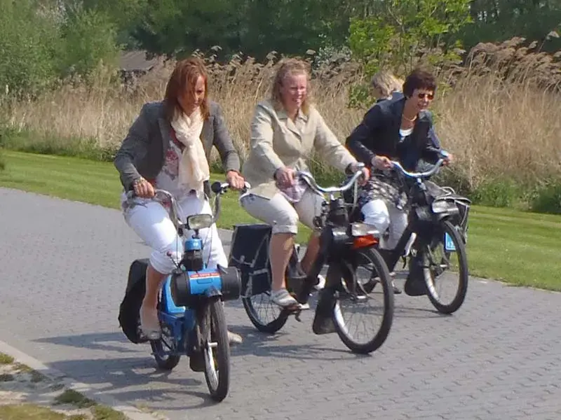 Solex